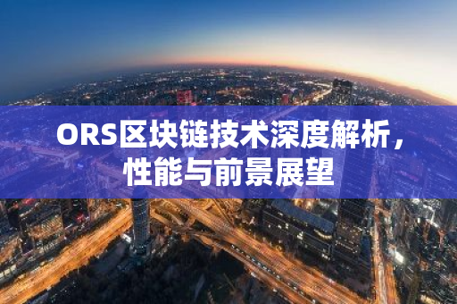 ORS区块链技术深度解析，性能与前景展望