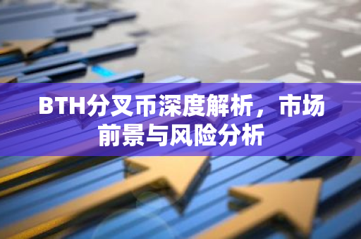 BTH分叉币深度解析，市场前景与风险分析