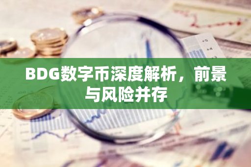 BDG数字币深度解析，前景与风险并存-第1张图片-智财锋资讯网
