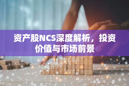 资产股NCS深度解析，投资价值与市场前景-第1张图片-智财锋资讯网