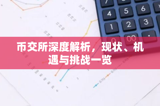币交所深度解析，现状、机遇与挑战一览