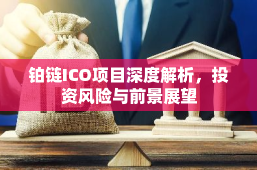 铂链ICO项目深度解析，投资风险与前景展望