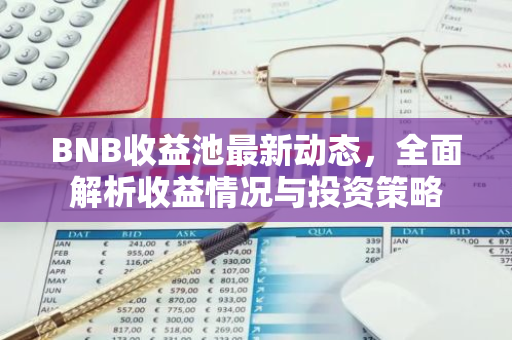 BNB收益池最新动态，全面解析收益情况与投资策略