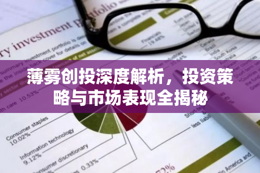 薄雾创投深度解析，投资策略与市场表现全揭秘-第1张图片-智财锋资讯网