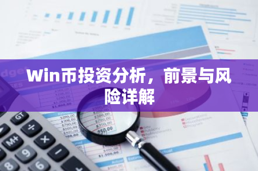Win币投资分析，前景与风险详解