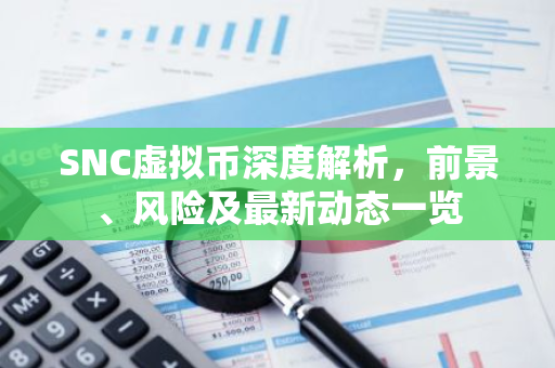 SNC虚拟币深度解析，前景、风险及最新动态一览-第1张图片-智财锋资讯网