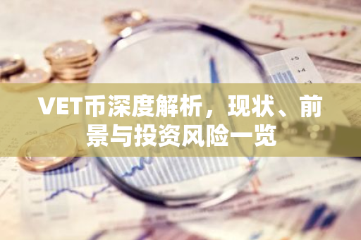 VET币深度解析，现状、前景与投资风险一览-第1张图片-智财锋资讯网