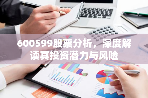 600599股票分析，深度解读其投资潜力与风险-第1张图片-智财锋资讯网
