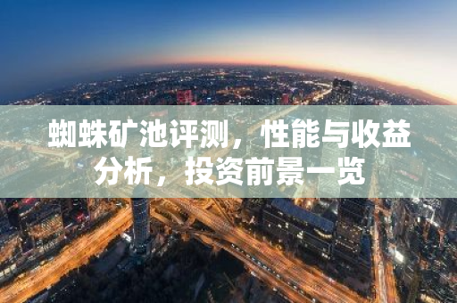 蜘蛛矿池评测，性能与收益分析，投资前景一览