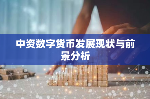 中资数字货币发展现状与前景分析