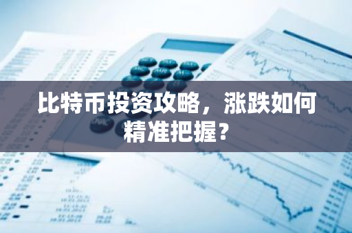 比特币投资攻略，涨跌如何精准把握？-第1张图片-智财锋资讯网