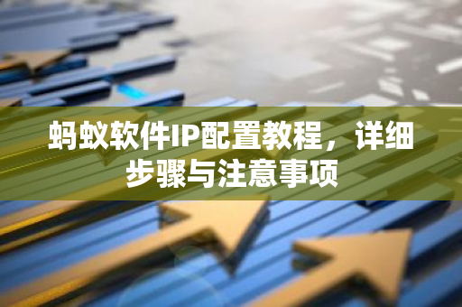 蚂蚁软件IP配置教程，详细步骤与注意事项