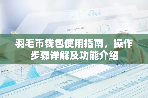 羽毛币钱包使用指南，操作步骤详解及功能介绍
