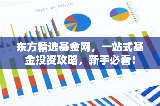 东方精选基金网，一站式基金投资攻略，新手必看！-第1张图片-智财锋资讯网