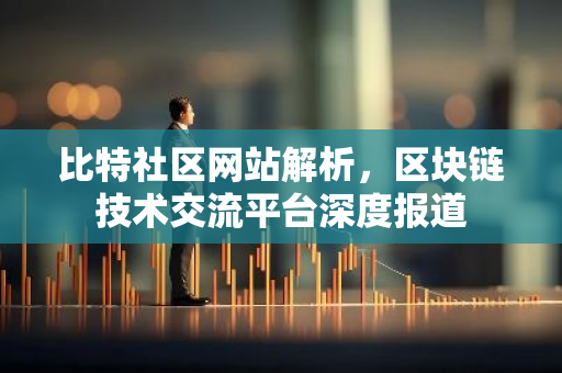 比特社区网站解析，区块链技术交流平台深度报道