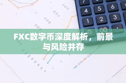 FXC数字币深度解析，前景与风险并存