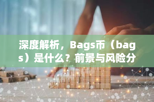 深度解析，Bags币（bags）是什么？前景与风险分析-第1张图片-智财锋资讯网
