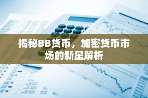 揭秘BB货币，加密货币市场的新星解析