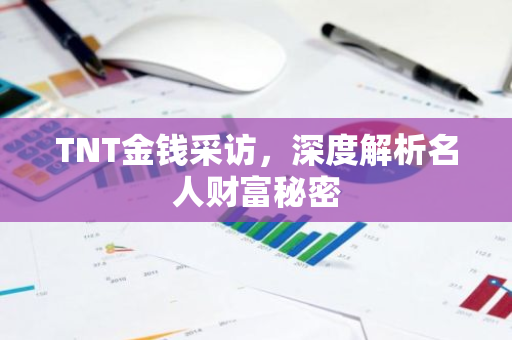 TNT金钱采访，深度解析名人财富秘密