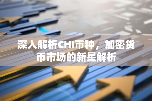 深入解析CHI币种，加密货币市场的新星解析