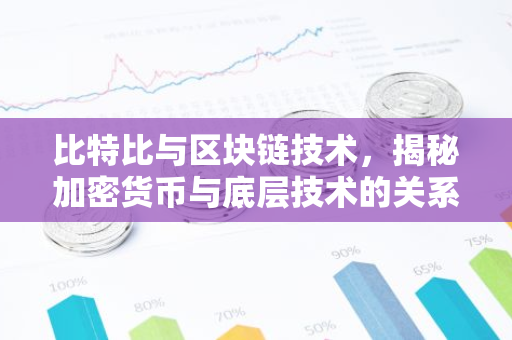 比特比与区块链技术，揭秘加密货币与底层技术的关系