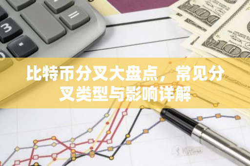 比特币分叉大盘点，常见分叉类型与影响详解