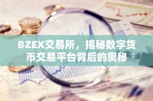 BZEX交易所，揭秘数字货币交易平台背后的奥秘