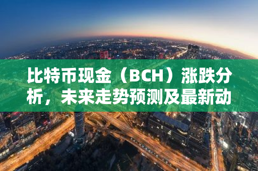 比特币现金（BCH）涨跌分析，未来走势预测及最新动态