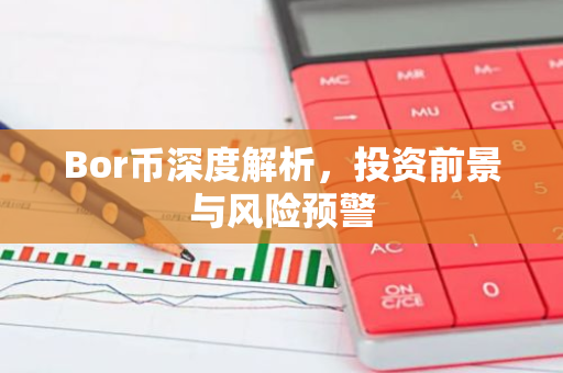 Bor币深度解析，投资前景与风险预警-第1张图片-智财锋资讯网