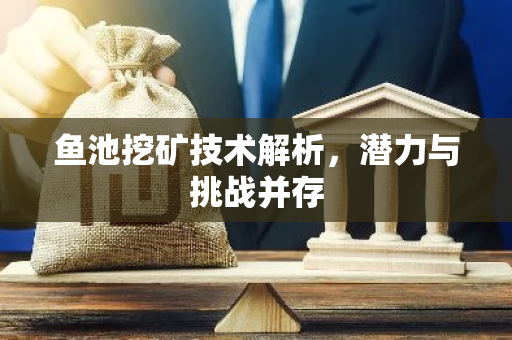 鱼池挖矿技术解析，潜力与挑战并存