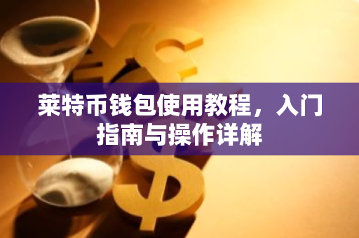 莱特币钱包使用教程，入门指南与操作详解