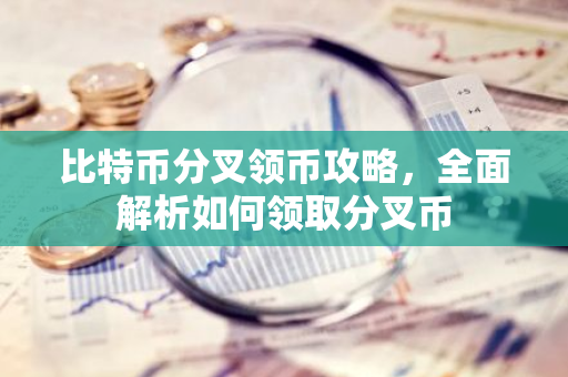 比特币分叉领币攻略，全面解析如何领取分叉币