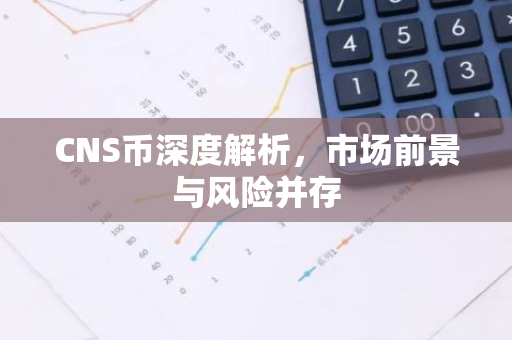 CNS币深度解析，市场前景与风险并存