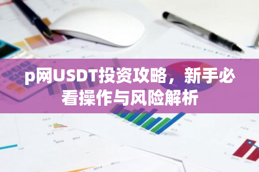p网USDT投资攻略，新手必看操作与风险解析-第1张图片-智财锋资讯网