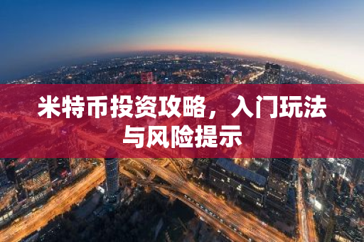 米特币投资攻略，入门玩法与风险提示
