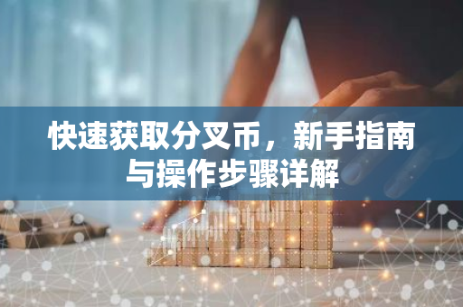 快速获取分叉币，新手指南与操作步骤详解