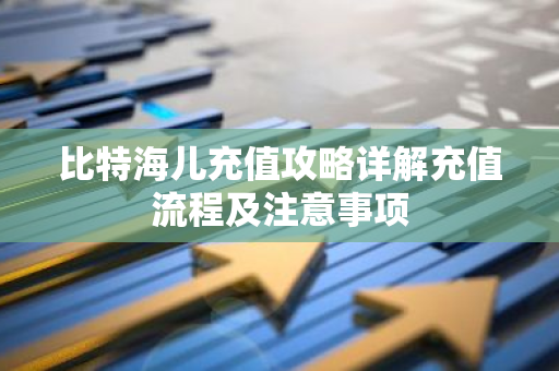 比特海儿充值攻略详解充值流程及注意事项-第1张图片-智财锋资讯网 比特海儿充值攻略详解充值流程及注意事项-第1张图片-智财锋资讯网