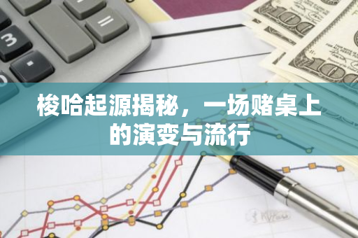 梭哈起源揭秘,一场赌桌上的演变与流行-第1张图片-智财锋资讯网 梭哈起源揭秘,一场赌桌上的演变与流行-第1张图片-智财锋资讯网