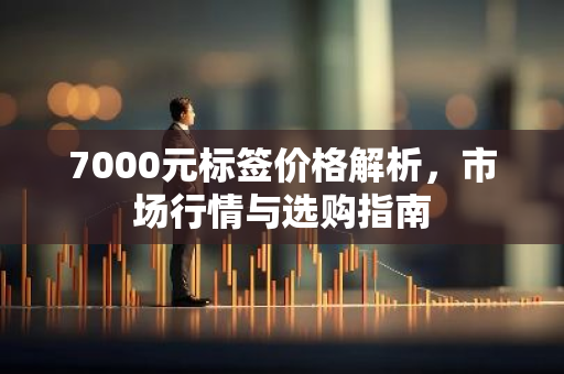 7000元标签价格解析，市场行情与选购指南