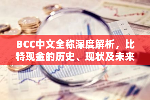 BCC中文全称深度解析，比特现金的历史、现状及未来展望