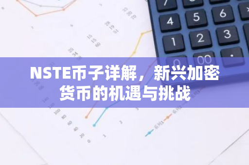 NSTE币子详解，新兴加密货币的机遇与挑战