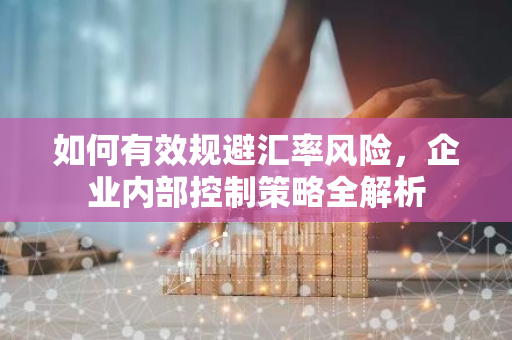 如何有效规避汇率风险，企业内部控制策略全解析-第1张图片-智财锋资讯网