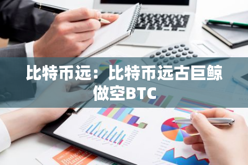 比特币远：比特币远古巨鲸做空BTC-第1张图片-智财锋资讯网