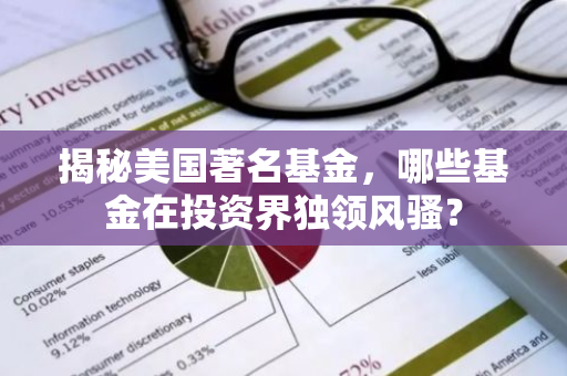揭秘美国著名基金，哪些基金在投资界独领风骚？-第1张图片-智财锋资讯网
