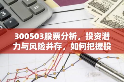 300503股票分析，投资潜力与风险并存，如何把握投资机会？-第1张图片-智财锋资讯网