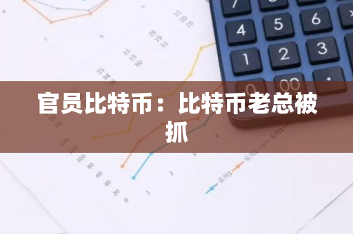 官员比特币：比特币老总被抓-第1张图片-智财锋资讯网