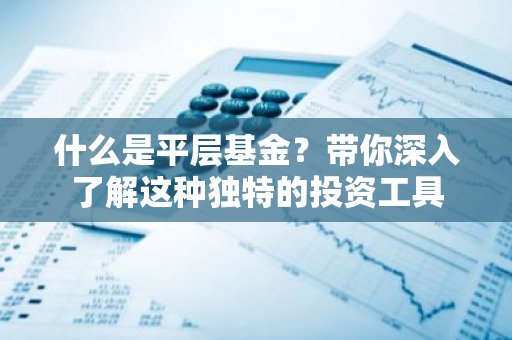 什么是平层基金？带你深入了解这种独特的投资工具-第1张图片-智财锋资讯网