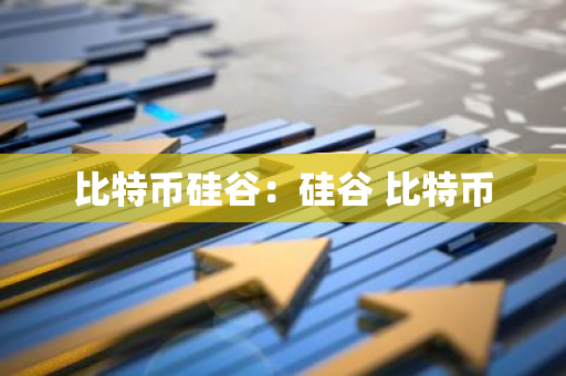 比特币硅谷：硅谷 比特币