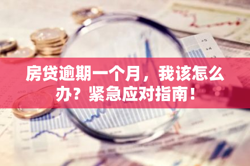 房贷逾期一个月，我该怎么办？紧急应对指南！-第1张图片-智财锋资讯网