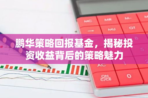 鹏华策略回报基金，揭秘投资收益背后的策略魅力-第1张图片-智财锋资讯网